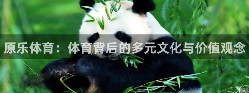 意昂5Kgame体育：原乐体育：体育背后的多元文化与价值观念