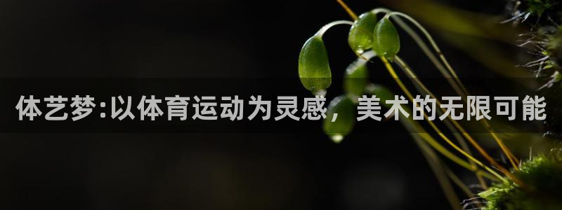 意昂5Kgame主管：体艺梦:以体育运动为灵感，美术的无限可能