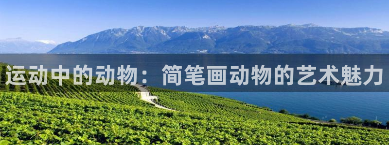 意昂5Kgame体育论坛：运动中的动物：简笔画动物的艺术魅力