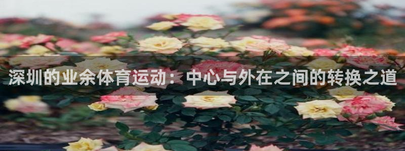 意昂5Kgame平台主管：深圳的业余体育运动：中心与外在之间的转换之道
