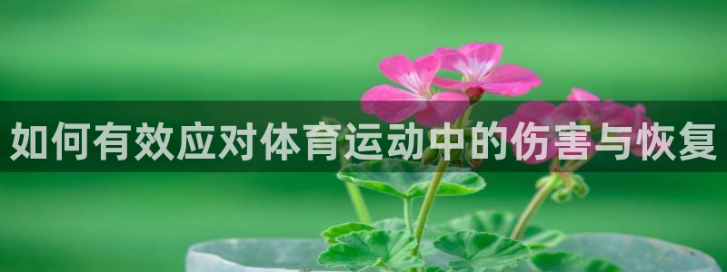 意昂5Kgame体育论坛：如何有效应对体育运动中的伤害与恢复