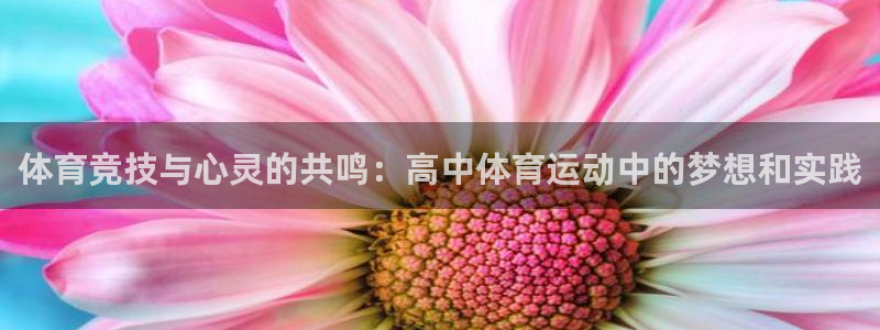 意昂5Kgame3注册：体育竞技与心灵的共鸣：高中体育运动中的梦想和实践