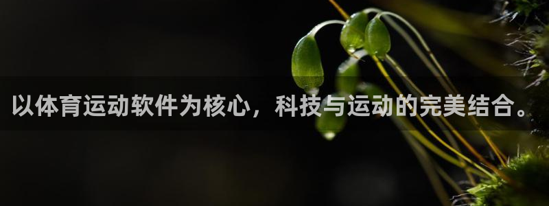 意昂5Kgame集团股票s：以体育运动软件为核心，科技与运动的完美结合。