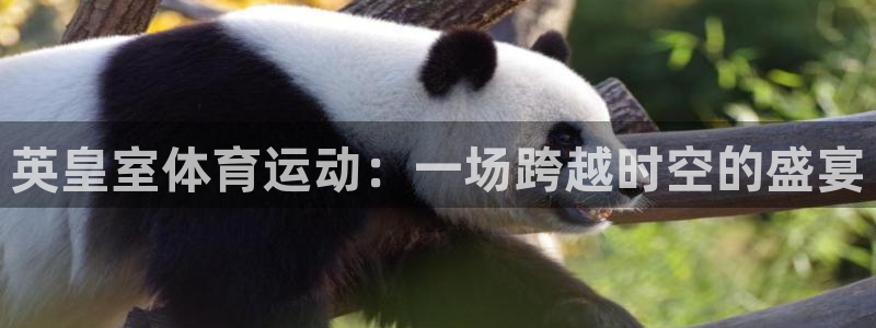 意昂5Kgame凯捷注册：英皇室体育运动：一场跨越时空的盛宴