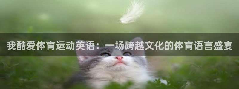 意昂5Kgame体育f开户：我酷爱体育运动英语：一场跨越文化的体育语言盛宴