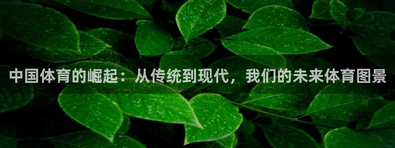 意昂5Kgame凯捷开号链接：中国体育的崛起：从传统到现代，我们的未来体育图景