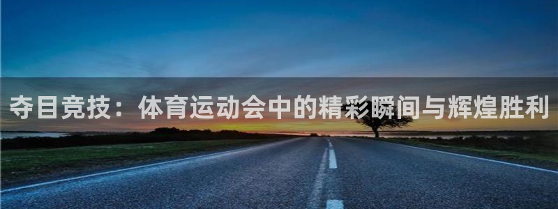 意昂5Kgame包怎么样：夺目竞技：体育运动会中的精彩瞬间与辉煌胜利