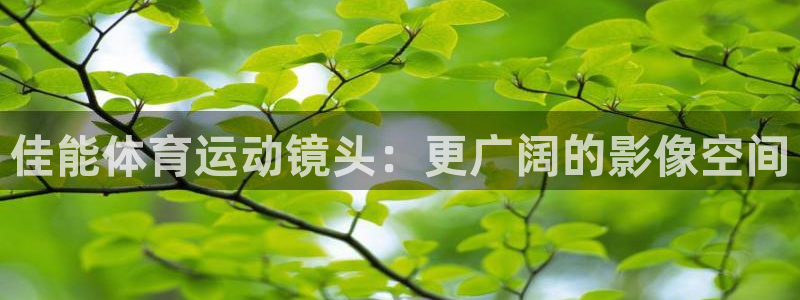 意昂5Kgame体育免费注册入口：佳能体育运动镜头：更广阔的影像空间