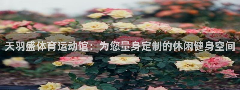 意昂5Kgame4：天羽盛体育运动馆：为您量身定制的休闲健身空间