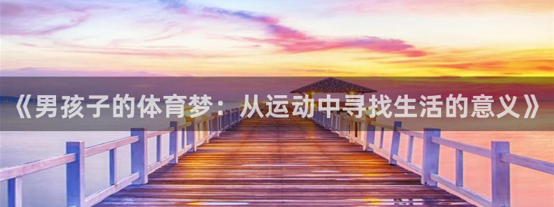 意昂5Kgame体育注册登录入口：《男孩子的体育梦：从运动中寻找生活的意义》