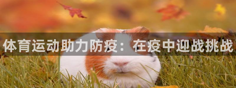 意昂5Kgame体育f开户：体育运动助力防疫：在疫中迎战挑战