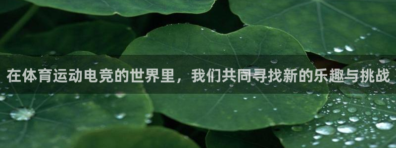 意昂5Kgame体育1招商：在体育运动电竞的世界里，我们共同寻找新的乐趣与挑战
