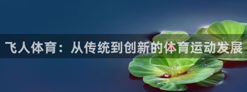 意昂5Kgame体育注册登录入口：飞人体育：从传统到创新的体育运动发展