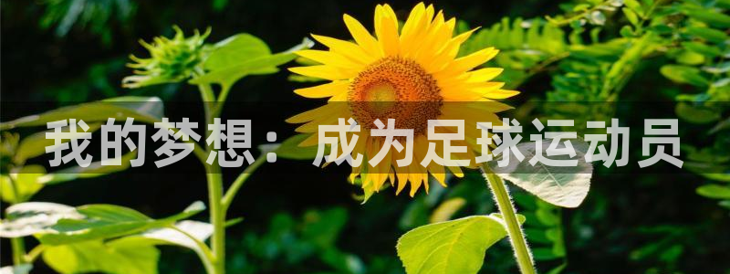 意昂5Kgame2平台：我的梦想：成为足球运动员